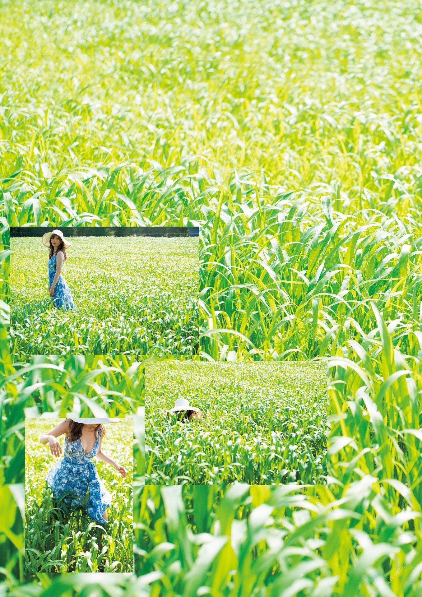 Aoi 葵, 写真集 「Hollyhock」 Set.01