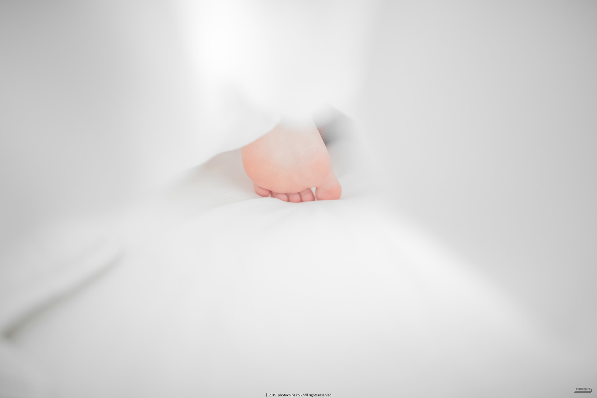 Queen Dami 퀸다미, [PhotoChips] Vol.064