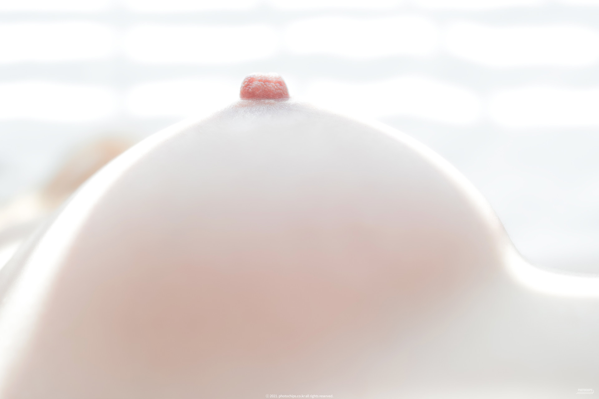 Queen Dami 퀸다미, [PhotoChips] Vol.109 No.13 포토칩스는 Set.01
